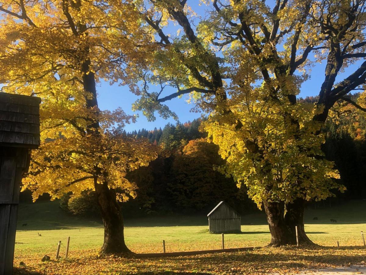 Die Alte Blaa Altaussee Bagian luar foto