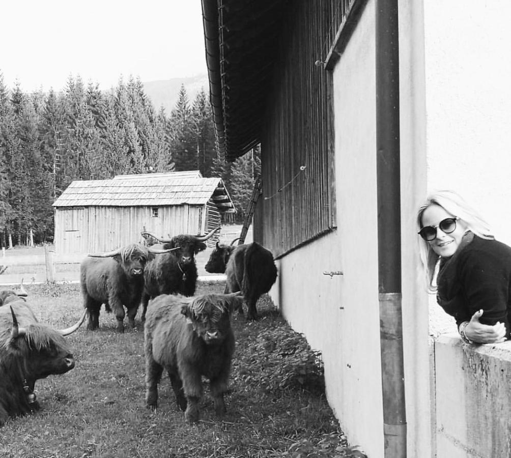 Die Alte Blaa Altaussee Bagian luar foto