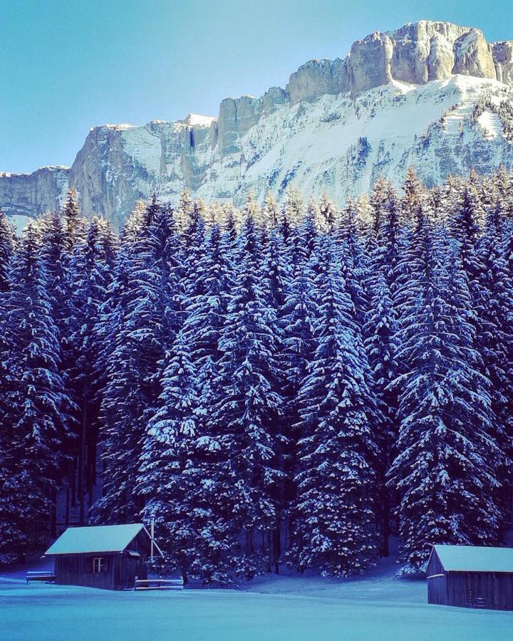 Die Alte Blaa Altaussee Bagian luar foto